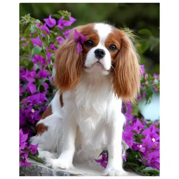 

5d Cavalier King Charles Spaniel diy diamonds paintings mosaic pictures by rhinestones embroidery diamond art sticker L1148