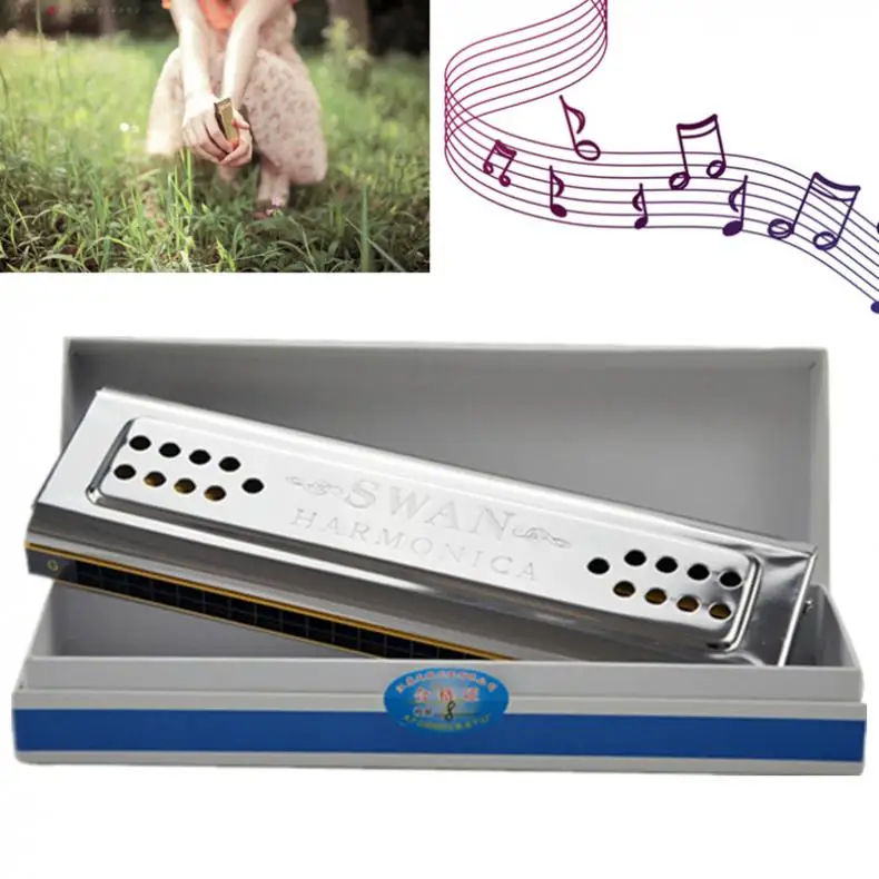 

Harmonica Professional 24 Holes Key Of C&G Double Side Tremolo silver chrome Harmonica Woodwind Instruments with Paper Box