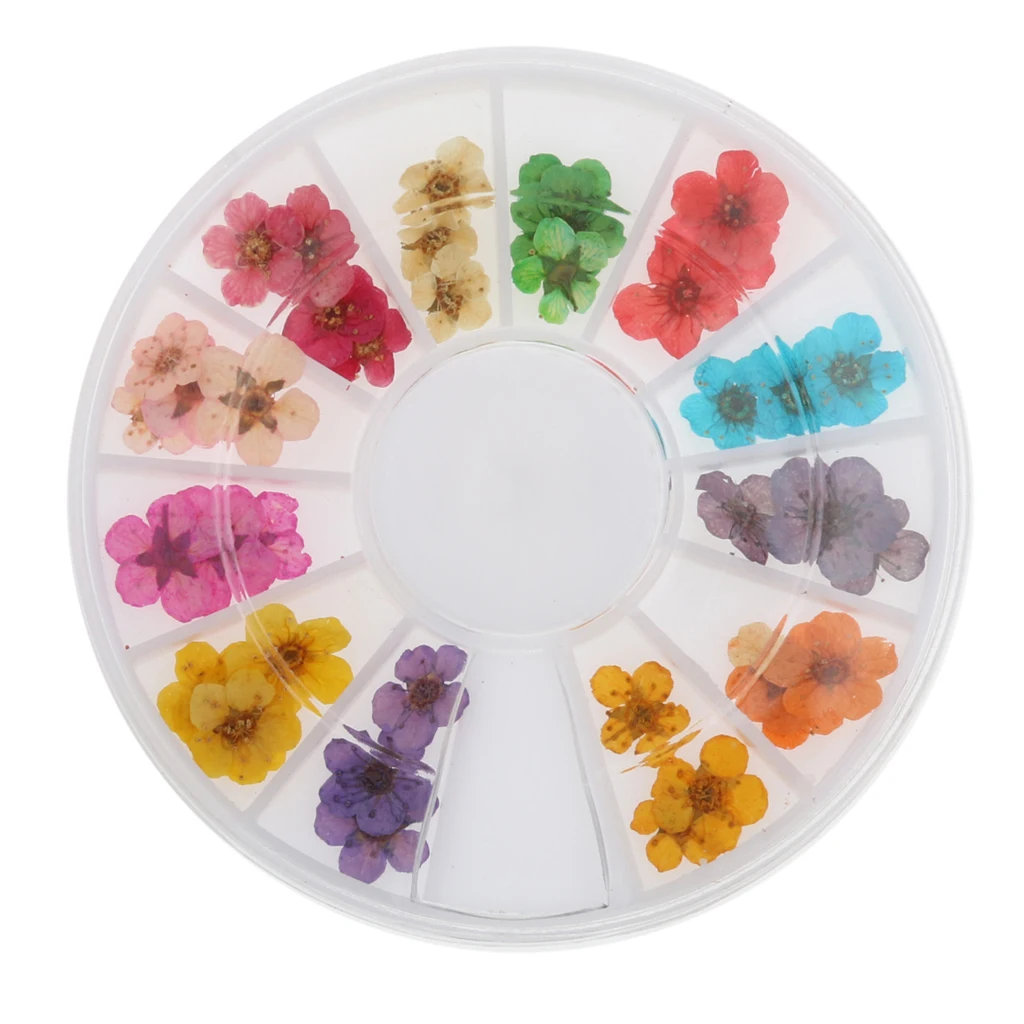 12 Colors Real Dry Dried Flower for 3D UV Gel Acrylic False Tips Nail Art Salon