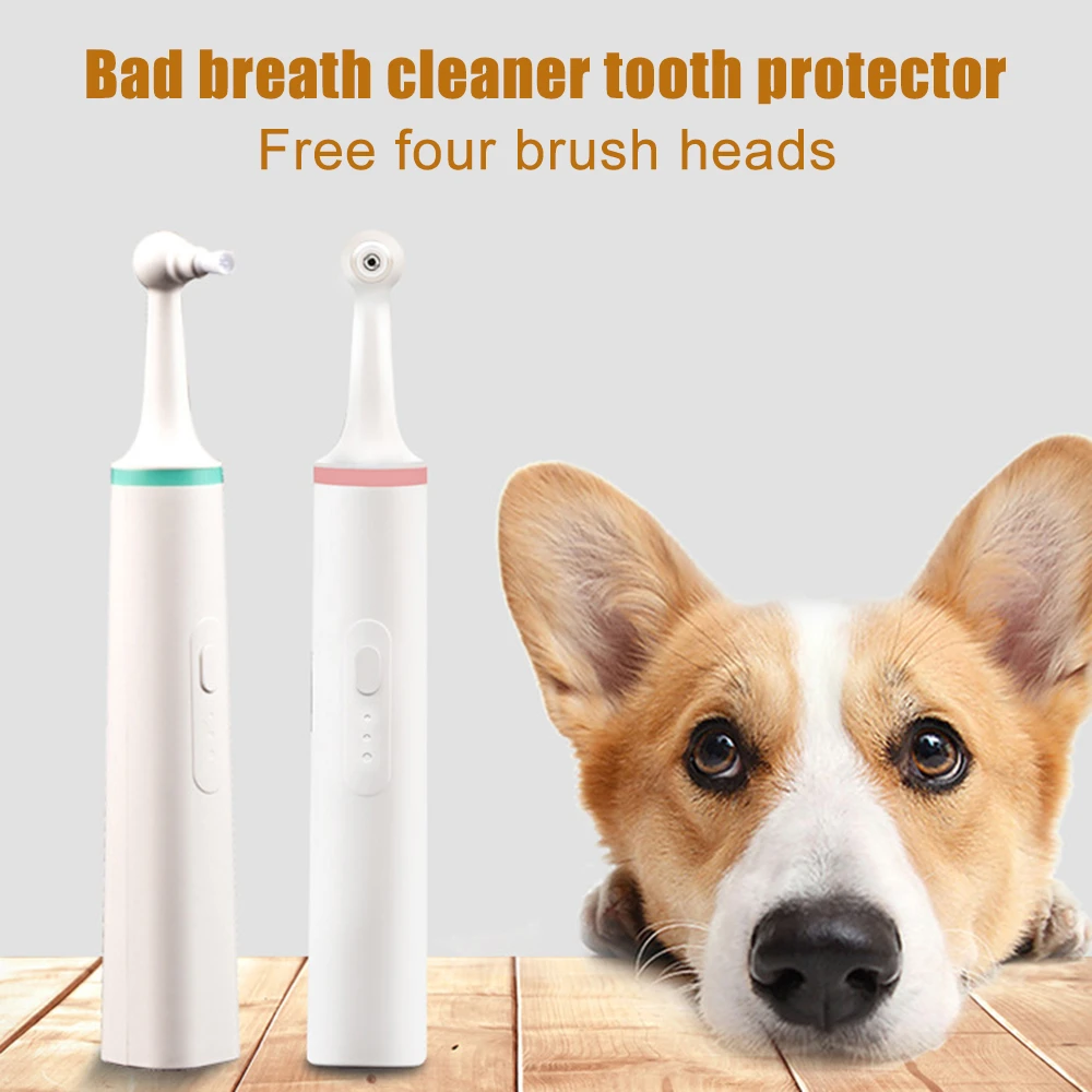 What Toothbrush To Use For Dogs