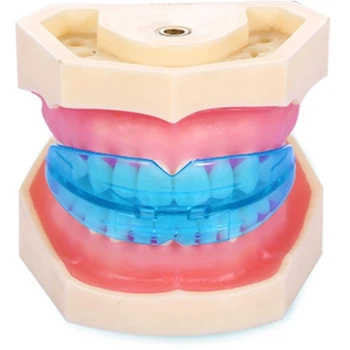 

Teeth Orthodontic Dental Correction Appliance Orthodontic Braces Tooth Care