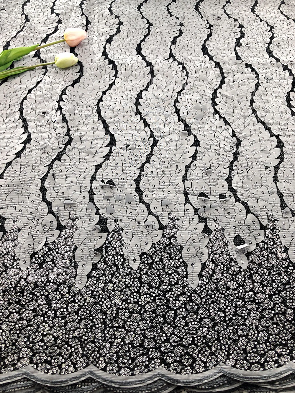 IMG_2842(20191115-113508)