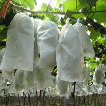 

100 Grape Bagging Planting Bag Anti-bird Waterproof And Insect Proof Non-woven Nursery Bag Eco-Friendly Plant Grow Seedling Bags