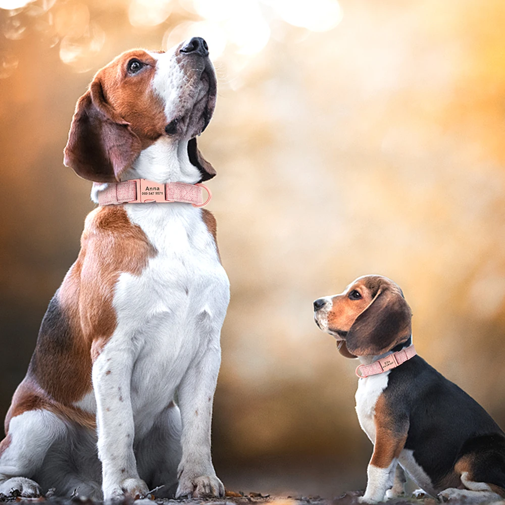 livre gravado, cão Acessórios, pequeno, médio, cães grandes