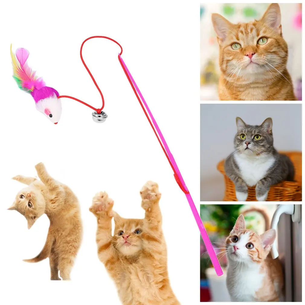 Feather Toy Wand Teaser Wand Cat Toys Interactive Retractable Wand Rod with Assorted Feather Toy for Exercising Kitten or Cat