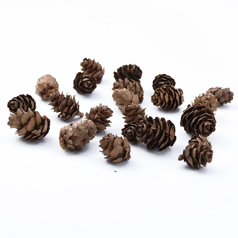 50 шт. мини прекрасный натуральный сушеный цветок Pinecone серии рождественские украшения для дома diy Подарочная коробка искусственные растения оптом - Цвет: 2