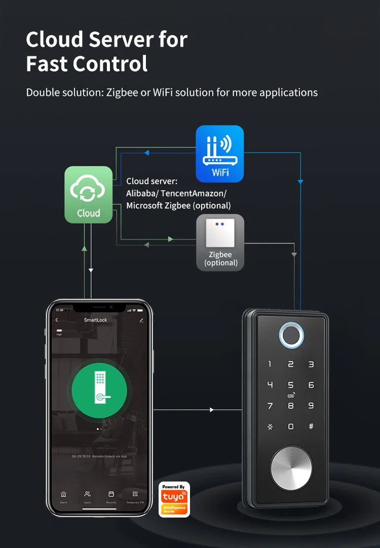 Tuya App Fingerprint Keyless Without handle Lock Cerradura inteligente Wifi Biom