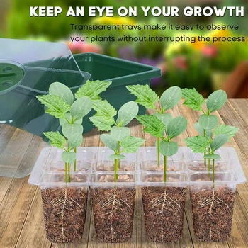 

Plastic Succulents 12 Components Seedling Trays Seed Starter Box Plant Flower Grow Starting Pot with Lid