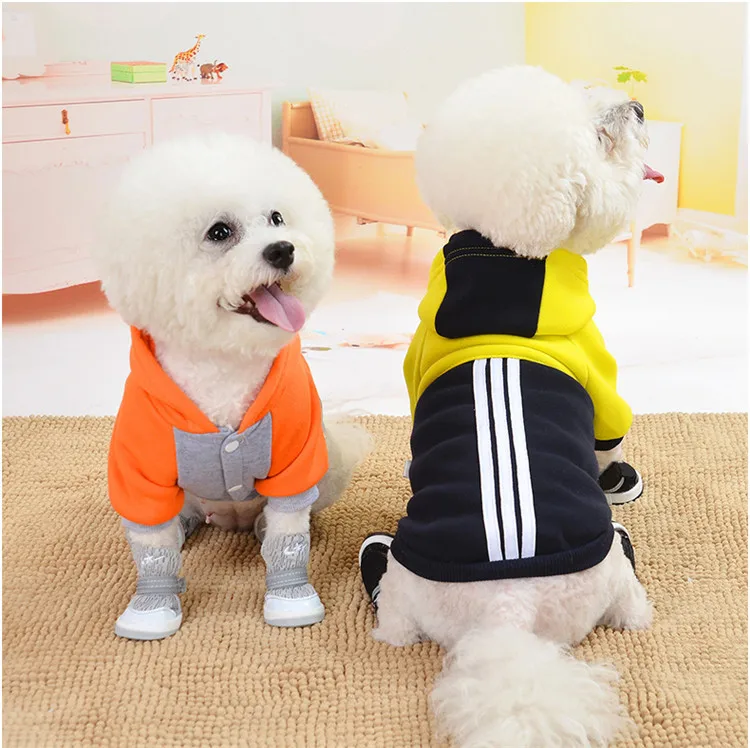 12139119773_1368698927