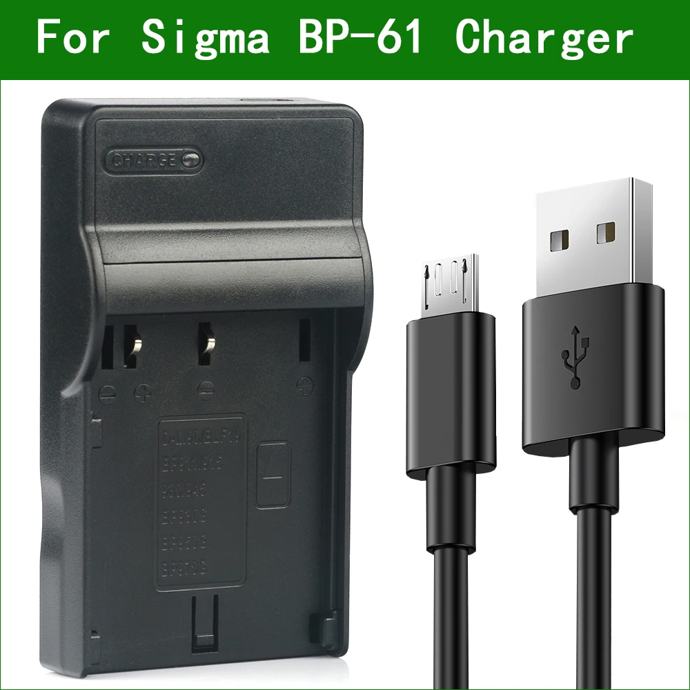 Caricabatteria Della Macchina Fotografica Digitale Di Bp-61 Bp61 Per La Deviazione Standard Quattro, Deviazione Standard Quattro H Di Sigma