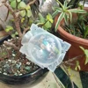20Pcs Cutting Grafting Rooting Ball Reusable Plant Rooting Ball Sapling Propagation Breeding Box Garden Plant Root Growing Box 6