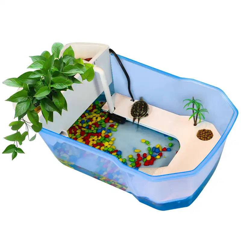 Turtle Small Tortoise Cylinder With Drying Platform Large Scale Turtle Special Tank Aquarium Water Turtle Water Tank Terrariums Aliexpress