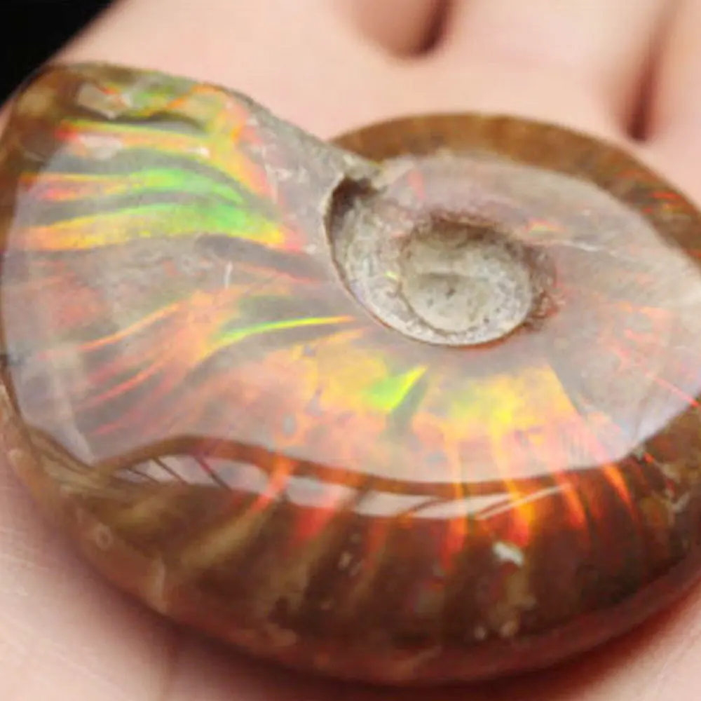 Украшение на день рождение, Ammolite ископаемый камень красочный драгоценный камень образца ювелирные изделия кулон Цепочки и ожерелья радужные браслет из прородного белого камня