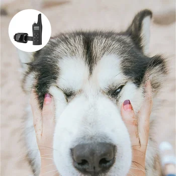 

Dog Training Collar Dog Shock Vibration Buzzer Training Collar US Plug