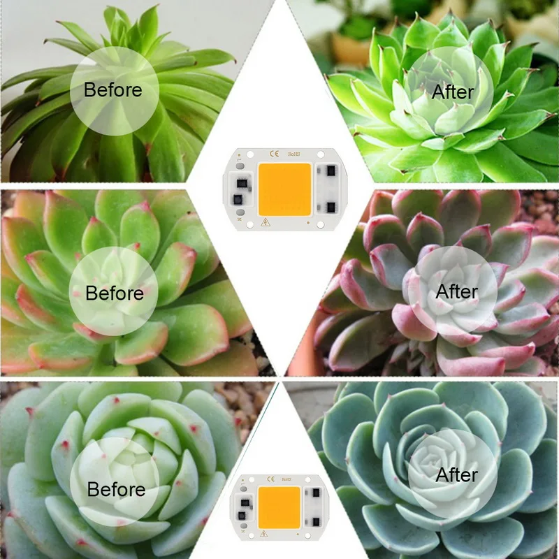 LED Grow COB Chip Phyto Lamp полный спектр AC220V 10 Вт 20 30 50 для комнатного выращивания растений и