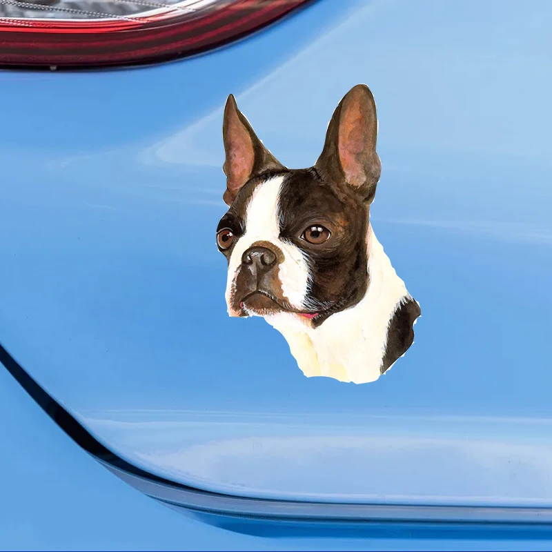 BOSTON TERRIER Dog Cute Pet Decal Car Sticker Waterproof Auto