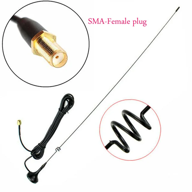 SMA Female