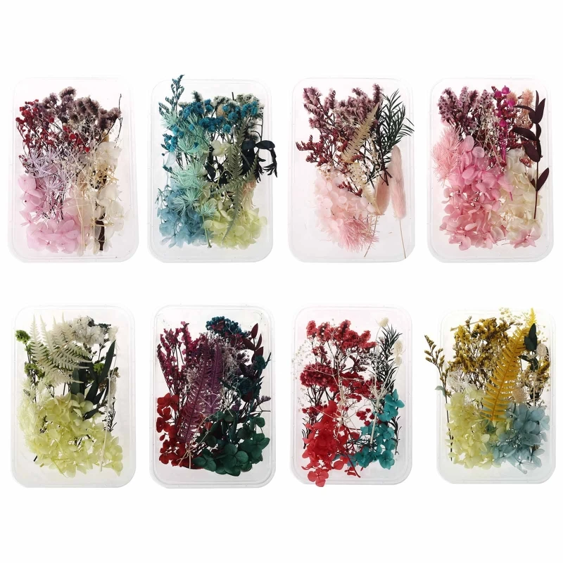 

1 Box Real Mix Dried Flowers for Resin Jewellery Dry Plants Pressed Flower