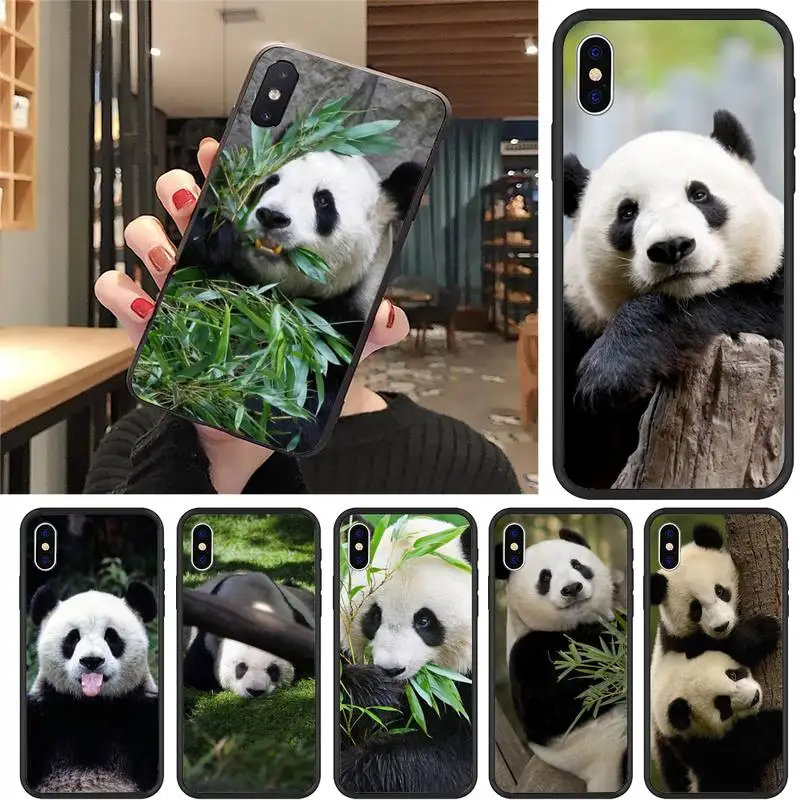 Милый чехол для телефона из аниме Pande едящая бамбук IPhone 11 12 Pro Max 6 6s 7 8 Plus XS XR 12mini Se 2020