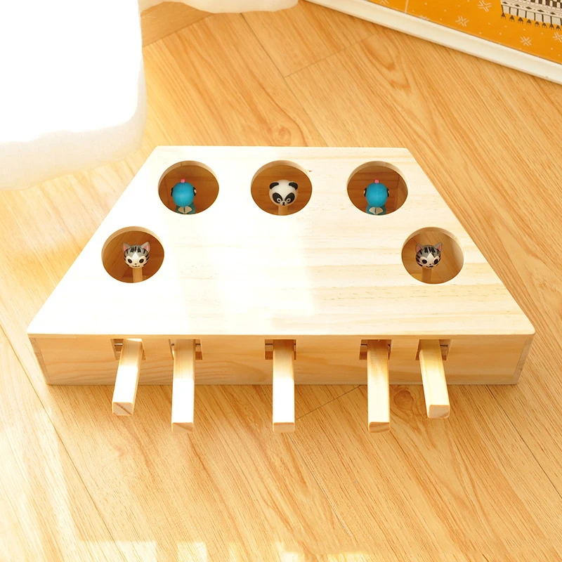 10549649507_1983655850