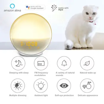 

Wake Up Light Alarm Clock, Sunrise & Sunset Simulation 7 Colored Sleep Aid Light