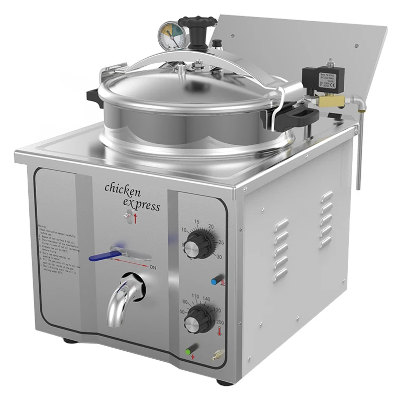 Commercial Electric Deep Fryer Single tank 220V/4.8KW 20L with timer 