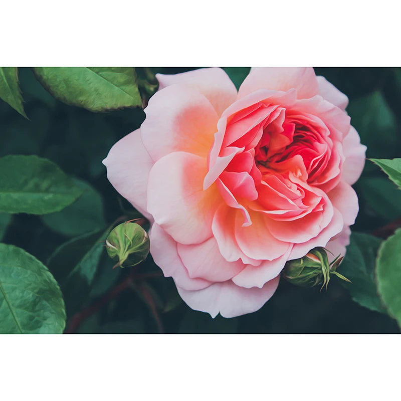 siora-photography-e3Fdi-E6Ki4-unsplash