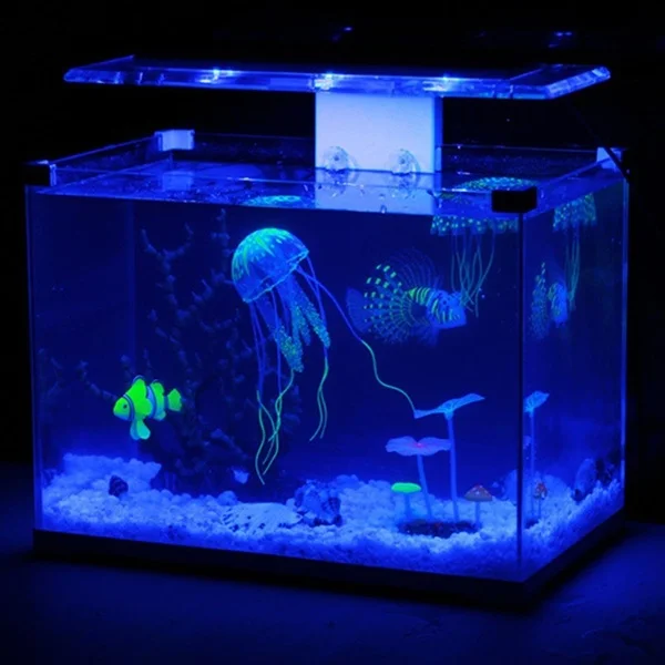 59c137d49fc573349a144697-13-large