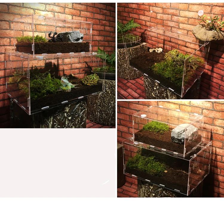 Reptile Tank Insect Spiders Tortoise Lizard Acrylic Transparent Breeding Box Vivarium Lid Reptile Pet Product Terrarium 2020 New Reptile Tank Insect Spiders Tortoise Lizard Acrylic Transparent Breeding Box Vivarium Lid Reptile Pet Product Terrarium 2020 New