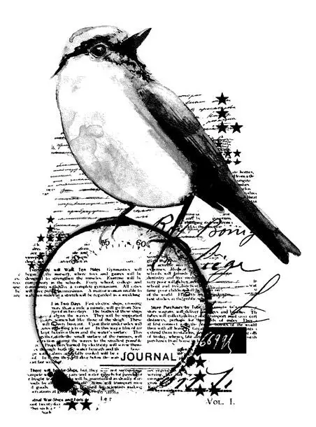 Прозрачный силиконовый штамп с птицами/печать для скрапбукинга своими