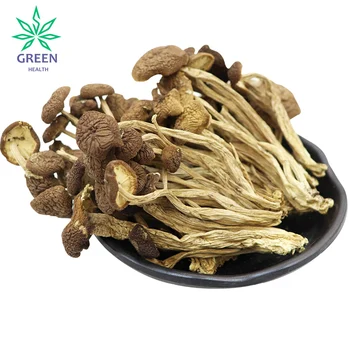 

Dried Tea Tree Mushroom