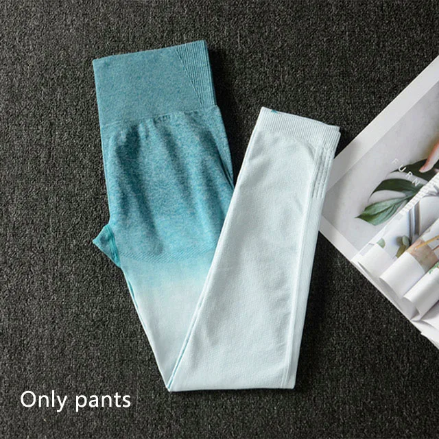 Blue pants Бесшовный Женский Набор для йоги, одежда, спортивный бюстгальтер+ леггинсы, спортивный костюм из 2 предметов, Женская Спортивная одежда для фитнеса, спортивная одежда для активного отдыха - Цвет: Blue pants