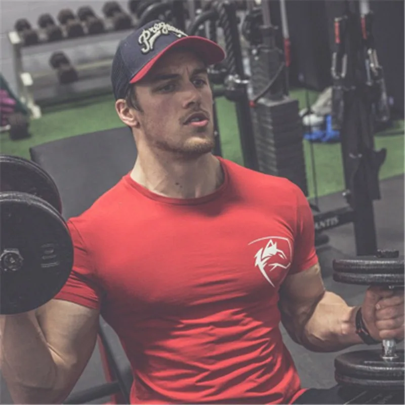 Новинка ALPHALETE Футболка-Стрингер Мужская Спортивная Футболка бодибилдинг и Фитнес Мужская майка повседневная мужская футболка