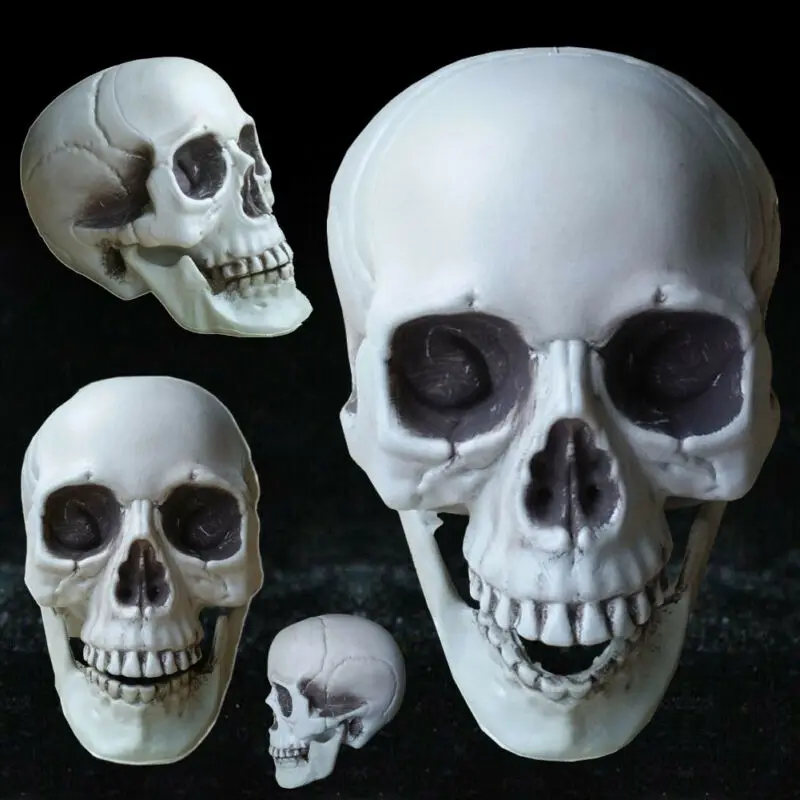 Копия головы человека 3D форма черепа из смолы разделенная для Хэллоуина