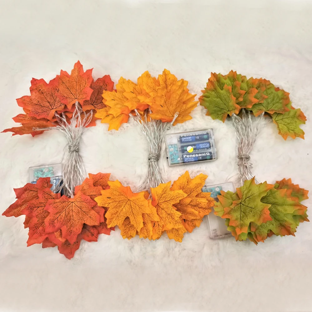 11646091102_1099349780 副本