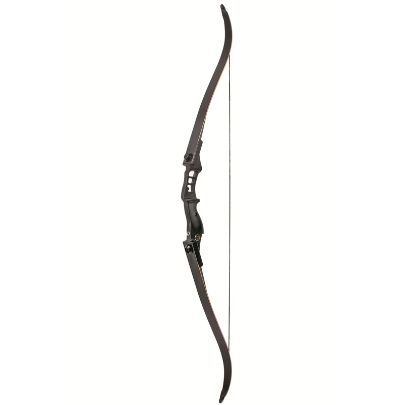 40lbs Archery YN-1 Black American hunting Straight bow & 12pcs Carbon arrows set