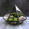 Minimalism Diamond shape Moss Glass Terrarium Black Geometric Glass Solder Terrarium Housing For Plants Home Decoration 1