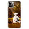 Mobile Phone Accessories