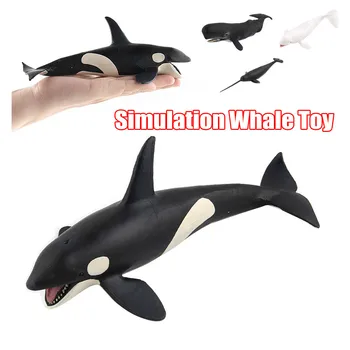 

Simulation Whale Animal Figure Collectible Toy Lifelike Whales Shaped Toy Realistic Motion Ocean Animal Cognition Action Figures