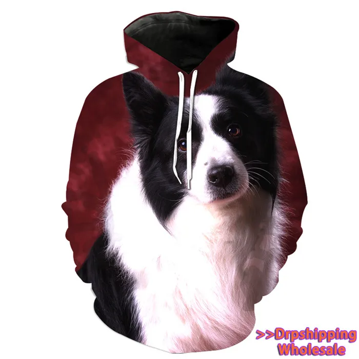 Новинка, Женская Повседневная Толстовка с длинным рукавом, джемпер для собаки Shepherd, пуловер Border Collie, топы, рубашка, хлопковые толстовки, дропшиппинг