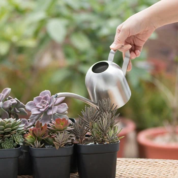 

1000ml Garden Watering Can Indoor Stainless Steel Watering Can Pot Water Bottle With Handle Garden Plant Spout Tool