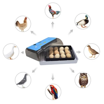 

4-35 Eggs Incubator Automatic Hatchery Machine Professional Mini Birds Brooder Thermostat Humidity Control Breeding Digital Disp