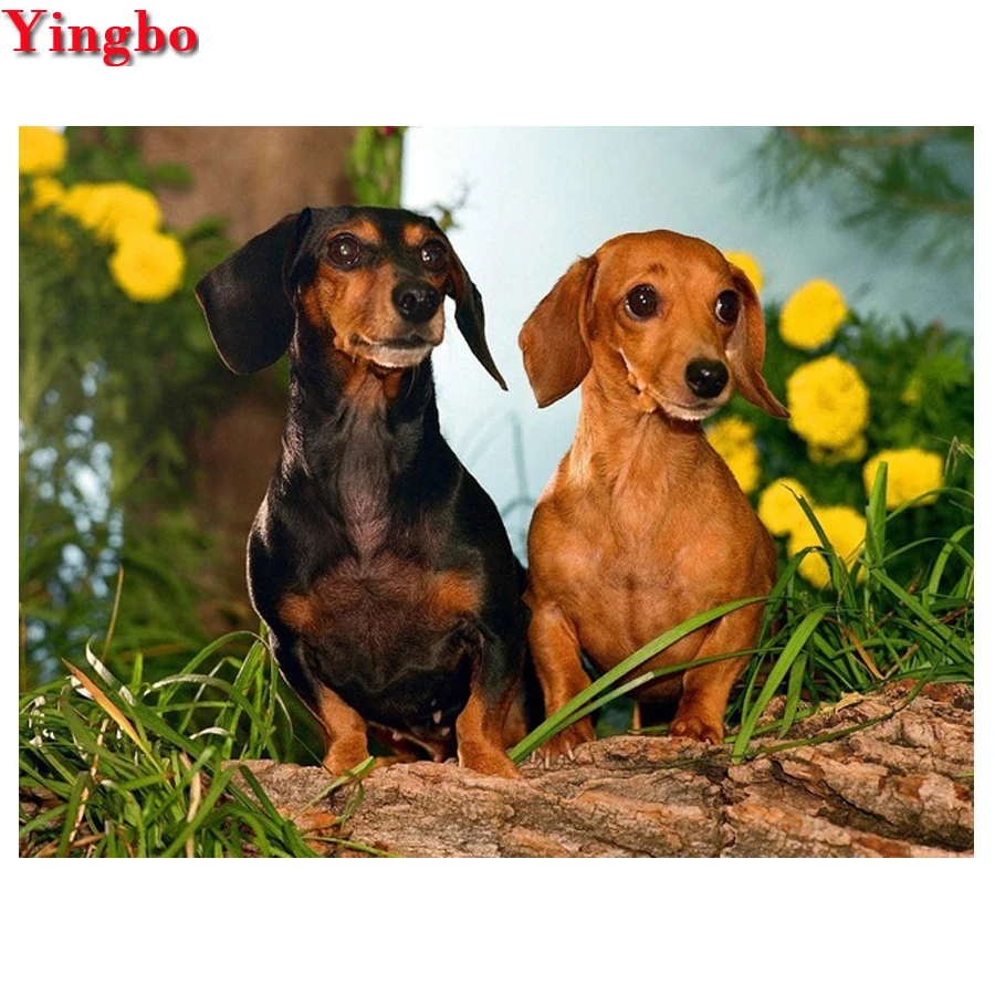 5d diy Diamond Painting Dachshund dog Embroidery animal cute pet Cross Stitch Full Square Round Mosaic stickers | Дом и сад