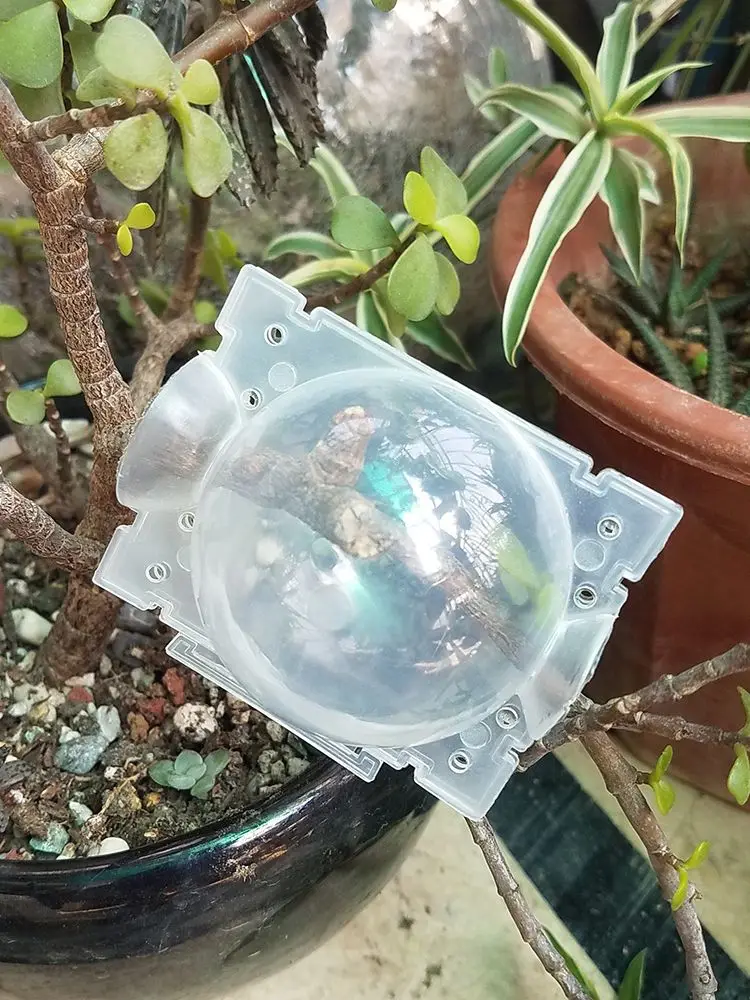 20Pcs 8cm Plant Root Ball Visible Root Graft Growing Box Breeding Case Plant Root Device Layer Pod High Pressure Ball for Garden 4