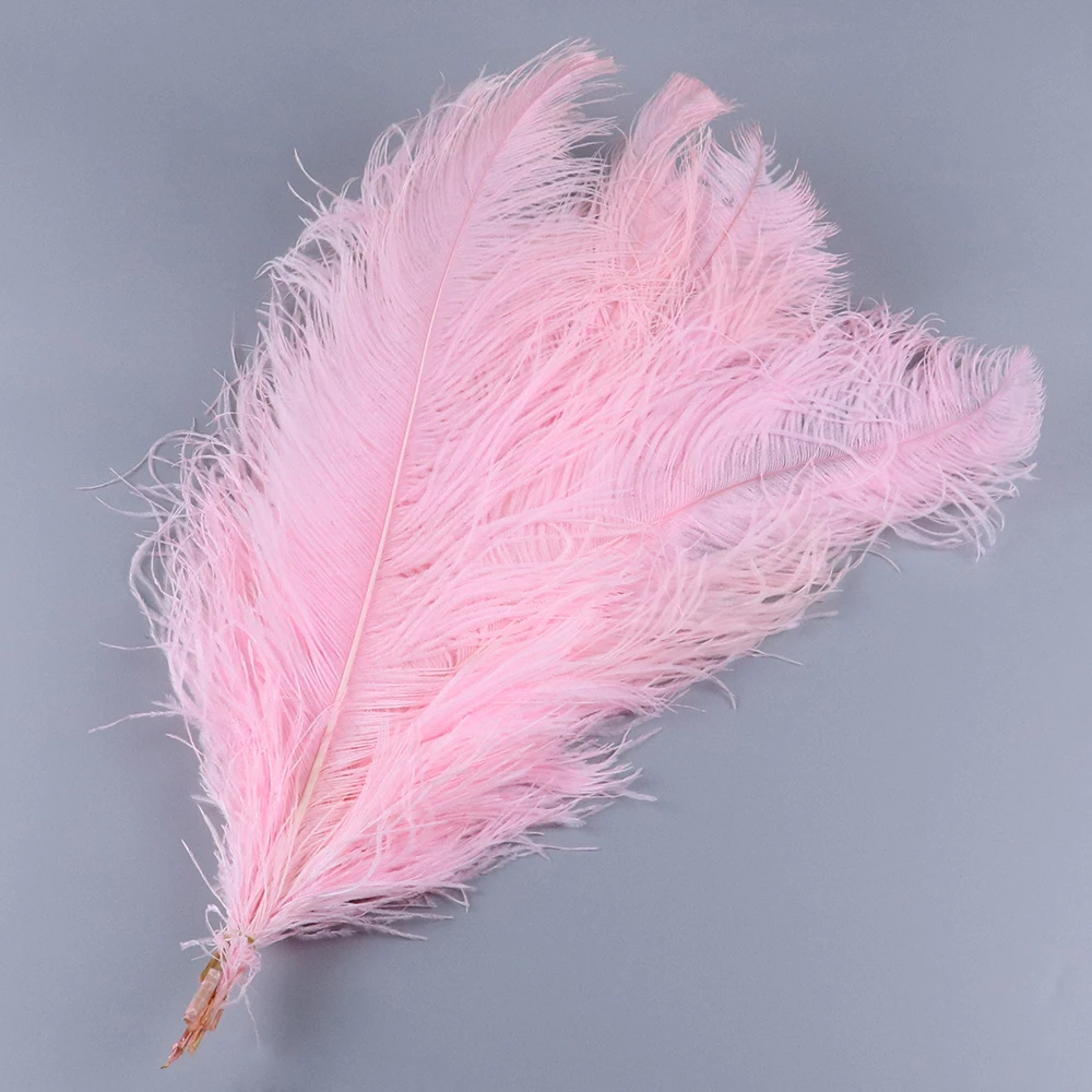 TS0160024 60-65cm ostrich feathers 2