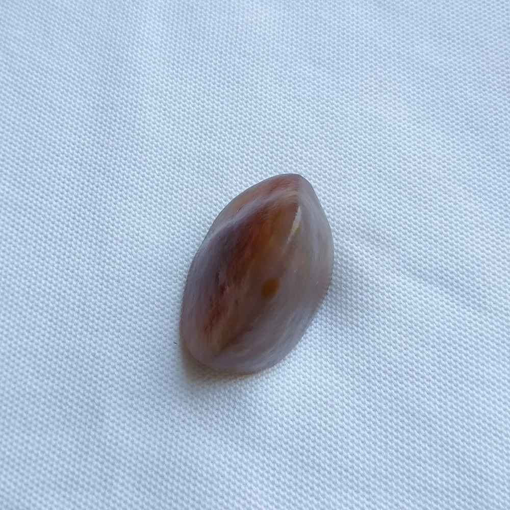 Natural beautiful stone Ornamental raw stone raw agate Silk Road Collectibles unique collection Natural beautiful stone Ornamental raw stone raw agate Silk Road Collectibles unique collection