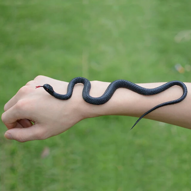 Black and yellow snake simulation snake fake snake small snake soft rubber snake plastic whole scary toy 6