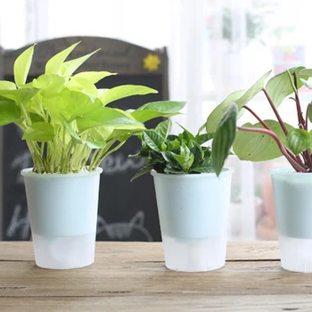 

5PCS Double Cup Automatic Water Absorption Large Hydroponic Plant Flower Pot