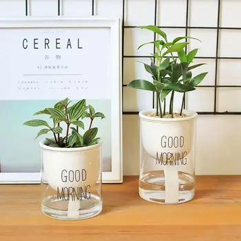 

Automatic Watering Ceramic Succulent Plant Flower Pot with Glass Water Container