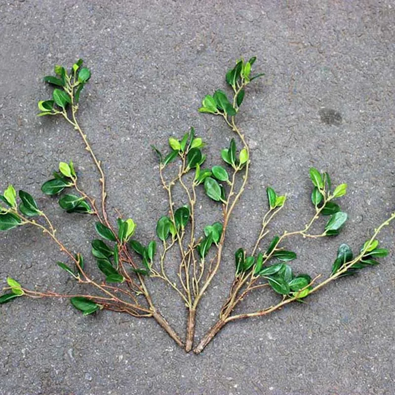 

Home Garden Decoration Apple Tree Leaf Artificial Plants Green Grass Tress PVC Fake Flowers Simulation Plant Wall Material